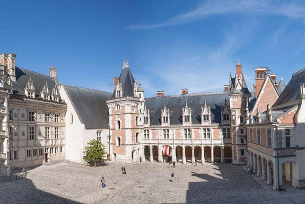 Gite Troglodyte Les Iris Villiers-sur-Loir Extérieur photo