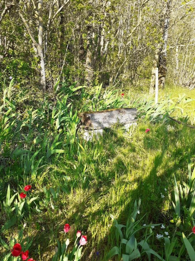 Gite Troglodyte Les Iris Villiers-sur-Loir Extérieur photo